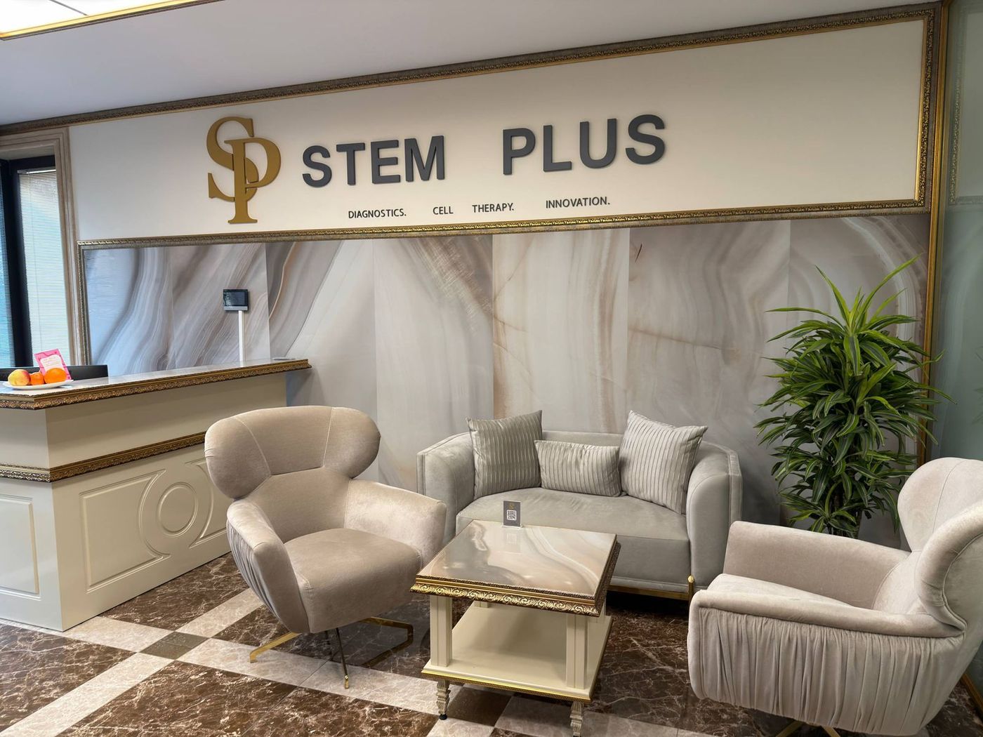 Reception area of the STEM PLUS clinic